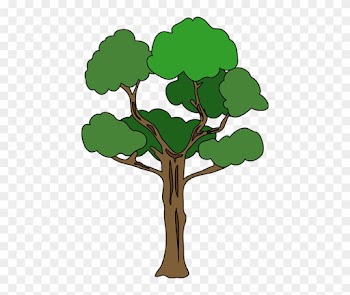 No01木 - Tree
