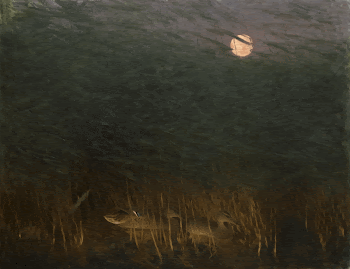 Nocturnal Mood with Wild Ducks | Free Photo - rawpixel