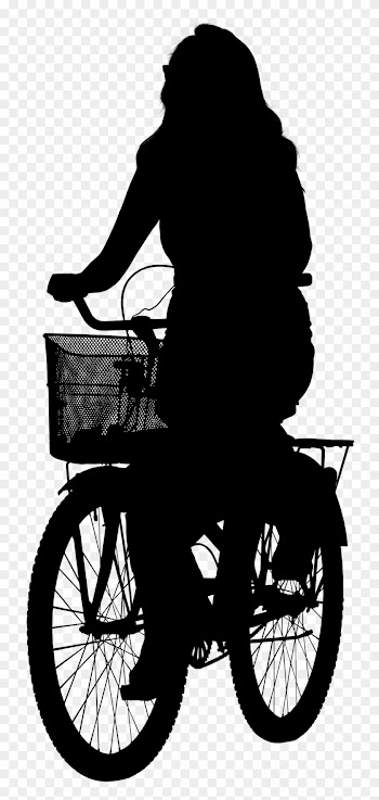Nonscandinavia Is An Attempt To Increase Diversity - Hybrid Bicycle