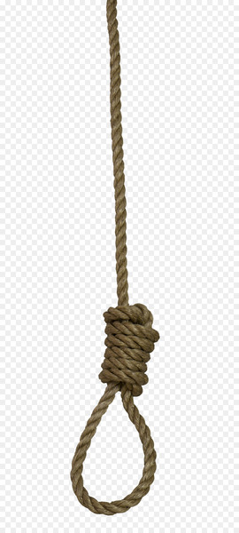 Noose Rope Knot - A rope 