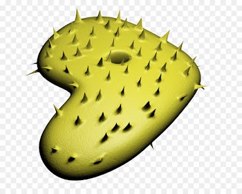 Nopal feh Linux distribution Gentoo Linux Barbary fig - freebsd poster 