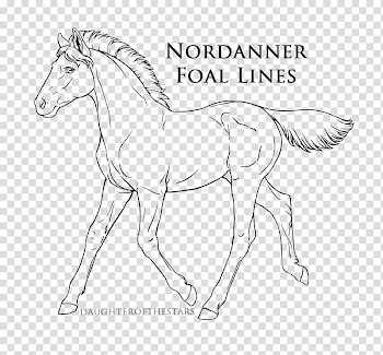 Nordanner Official Foal Lines, Nordanner Foal Lines illustration transparent background PNG clipart