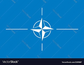  					North Atlantic Treaty Organization NATO vector image														