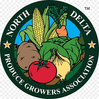 North Delta School Clip art Portable Network Graphics Mississippi Delta Fruit - alcorn icon 