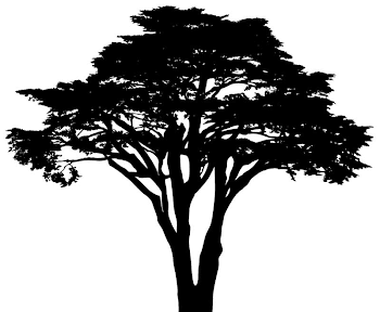North Dunes — Friends of Carmel Forest