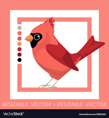 northern cardinal jay