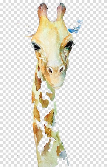 Northern giraffe Watercolor painting Art Drawing, Cute giraffe transparent background PNG clipart