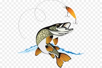 Northern pike Royalty-free Stock photography Illustration - Jumping little fish 