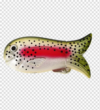 Northern red snapper Bony fishes Smoking, snapper transparent background PNG clipart