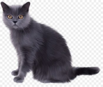 Norwegian Forest cat Persian cat Kitten Clip art - Witch Cat 