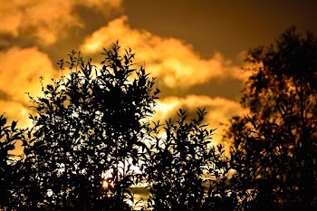          Norwegian Sunset Free Photo     