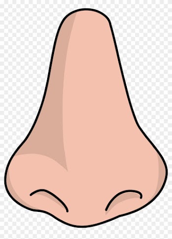 Nose Clipart Fans - Nose Png