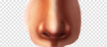 Nose Download Transparent PNG Image