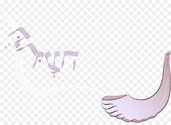 nose font eyelash