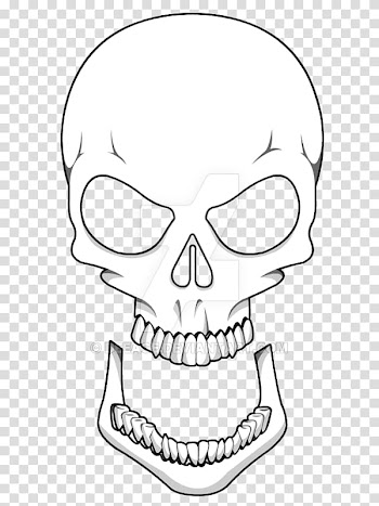 Nose /m/02csf Line art Skull Drawing, nose transparent background PNG clipart
