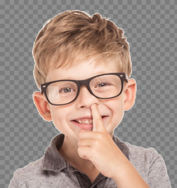 Nose PNG Image With Transparent Background