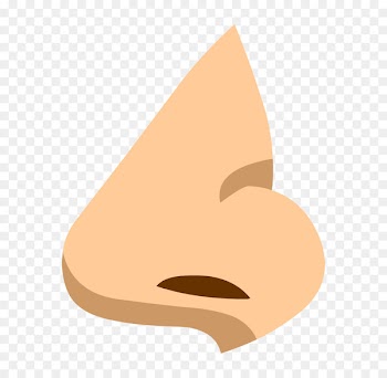 Nose Sense BrainPop Hearing Dried nasal mucus - nose 