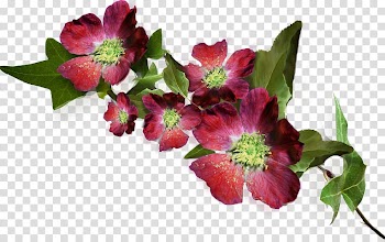 Nosegay Cut flowers Flower bouquet, autumn-flowers transparent background PNG clipart