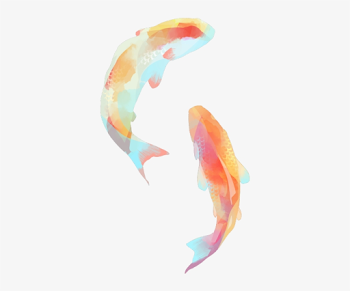 Not So Godofshinobi - Koi Fish Watercolor Png Transparent PNG ...