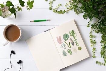 Notebook flat lay in plants with hand drawn… | Free stock photo | High Resolution image