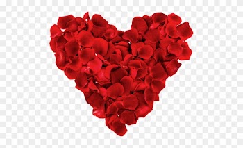 Nothing Says I Love You Like Herbs Cloverleaf Farm - Red Rose