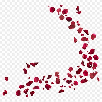Novelas Tv Votre Coeur Bat Plus Fort Netflix Clip Art - Rose Petals Png
