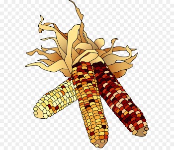 November Free content Clip art - Fall Corn Cliparts 