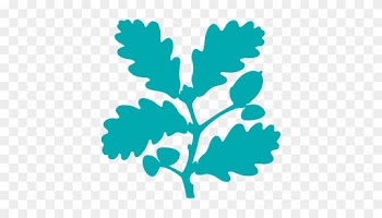 Nt Volunteering - National Trust Oak Leaf
