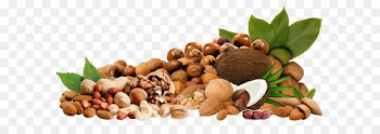 Nucule Almond Clip art - Nuts PNG Clipar Picture 