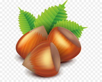 Nucule Euclidean vector - hazelnut 