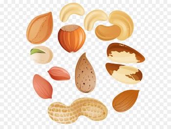 Nucule Tree nut allergy Clip art - Nuts PNG Clipar Image 