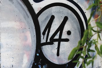Number 14