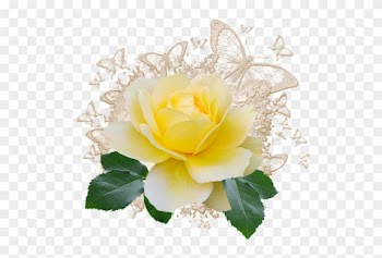 Nurcan Cüceoğlu/emeksensin - Com/nurcandesign - Garden Roses