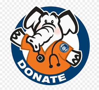 Nurse Tuffy Donate Logo - Csuf Graduation 2015
