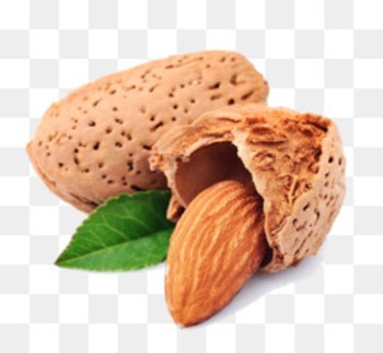 Nut Almond Icon - Cartoon almond 