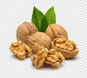 Nut Free PNG Image