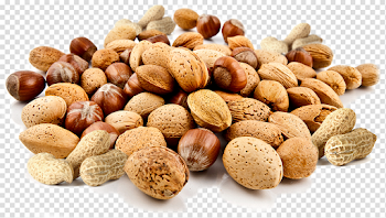Nut PNG Background Image