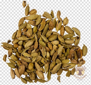 Nut Pumpkin seed Salad Food, salad transparent background PNG clipart