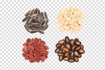 Nut Sunflower seed Pumpkin seed Kuaci, lemon,fruit,slice,Dripping,juice transparent background PNG clipart