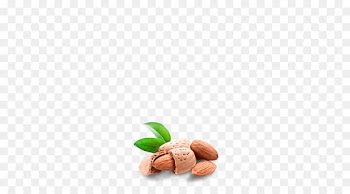 Nut, Wheat Flour, Food, Almond PNG