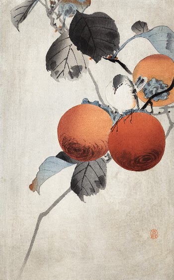 Nuthatcher atop Persimmons (ca. 1910) | Free Photo Illustration - rawpixel