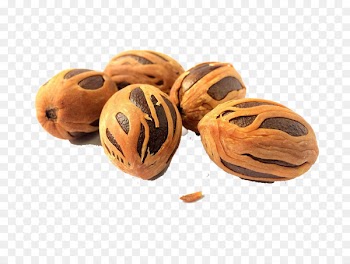 Nutmeg oil Spice Health Essential oil - India Coconut 