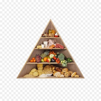 Nutrient Healthy diet Nutrition Food - Food Pyramid 
