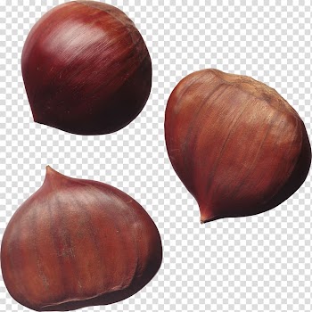 Nuts Hazelnut Chestnut, Vegetables onion transparent background PNG clipart