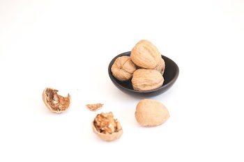 Nuts & Nutshells