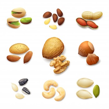 Nuts realistic set