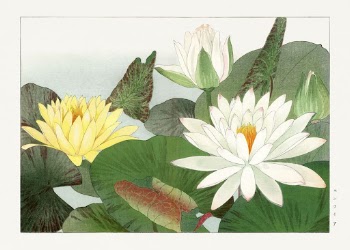 Nymphaea lotus, Japanese woodblock art | Free Photo Illustration - rawpixel