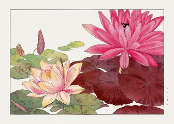 Nymphaea lotus, Japanese woodblock art | Free Photo Illustration - rawpixel