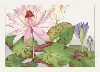 Nymphaea lotus, Japanese woodblock art | Free Photo Illustration - rawpixel