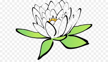 Nymphaea Nelumbo, Drawing, Painting, Flower, Leaf PNG